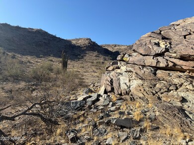 3670 E Highline Canal Rd, Phoenix, AZ 85042 - photo 5