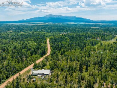 517 Aspen Village Rd, Divide, CO 80814 - photo 3