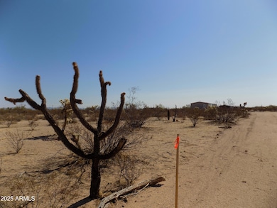 1.25 E Tbd-Cactus Forest N Reed Lot2 Rd unit 2, Florence, AZ 85132 - photo 7