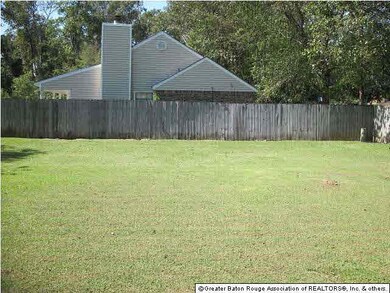 Fenced in Backyard