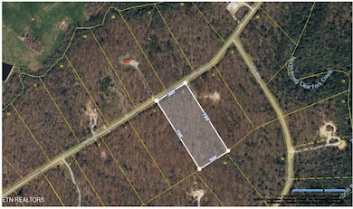 Shelby Way-lot#7-aerial map