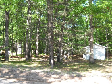 12014 Lake Ave, Bitely, MI 49309 - photo 3