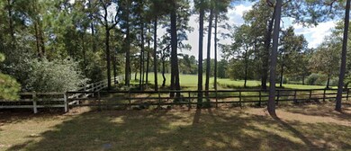 29212 Village Bend, Magnolia, TX 77355 - photo 3