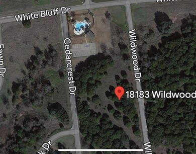 18183 Wildwood Dr, Whitney, TX 76692 - photo 5