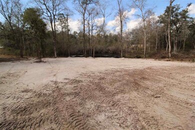 28 Dustin Ln, Crawfordville, FL 32327 - photo 6