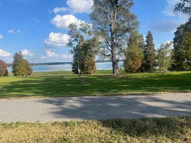 217 E Belmar St, Lakeland, FL 33803 - photo 3