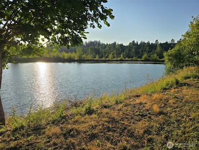 243 Collins Rd, Toledo, WA 98591 - photo 7