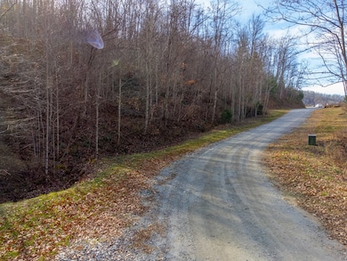 00 Garnet Ridge Preserve, Sylva, NC 28779 - photo 5