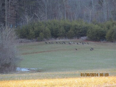 1068 Elmwood Rd, Statesville, NC 28625 - photo 3