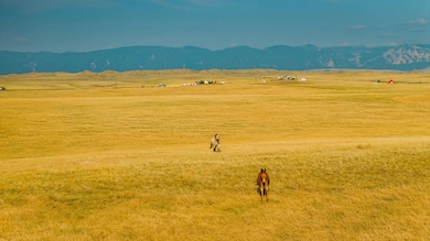 003_dji_20250718080037_0236_d_537