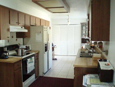 3251 N Camomile Way, Beverly Hills, FL 34465 - photo 5