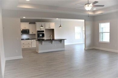 Looking into the kitchen