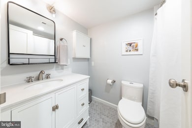 2042 Royal Fern Ct unit 18/11B, Reston, VA 20191 - photo 6