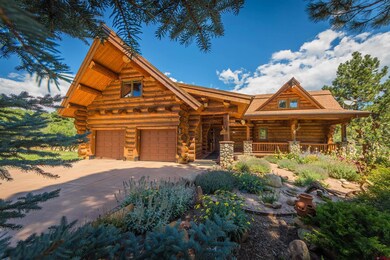 542 Sheep Springs, Durango, CO 81301 - photo 3