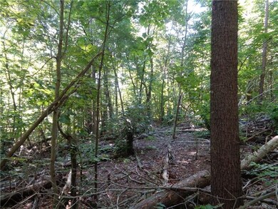 51 Morning Star Dr unit 27, Leicester, NC 28748 - photo 4