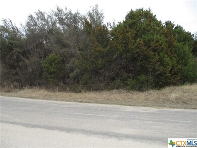 000 County Road 4818, Kempner, TX 76539 - photo 2