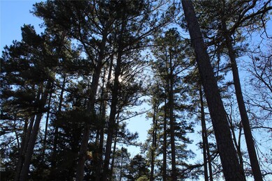 0 Tbd County Road 488, Poplar Bluff, MO 63901 - photo 2