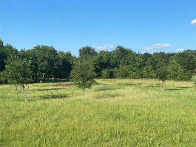 7270 Old Millsap Rd, Millsap, TX 76066 - photo 6