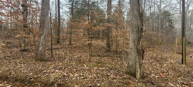 636 Tobaccoport Rd, Bumpus Mills, TN 37028 - photo 4