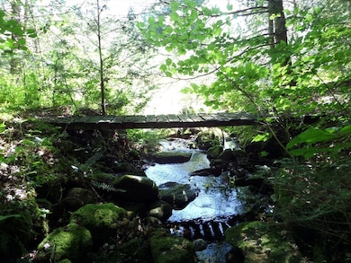 155 River Rd, Worthington, MA 01098 - photo 5