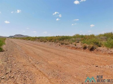 - Dr Unit 105 Bk 7, Deming, NM 88030 - photo 5