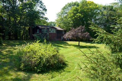 Mature Landscaping