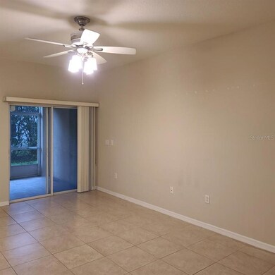 9907 Serona Bluff Way, Tampa, FL 33619 - photo 2