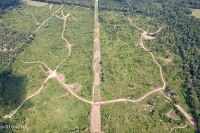 0 Abernathy Rd, Flora, MS 39071 - photo 2