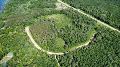 (Lot 5) TBD Waterfront Ln, Little Elbow Township, MN 56569 - photo 4