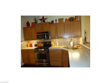Kitchen has a solid vinyl floor that looks like re
