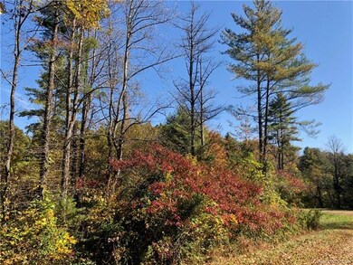 Large corner lot.