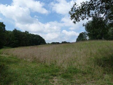 20130827175341786913000000-o