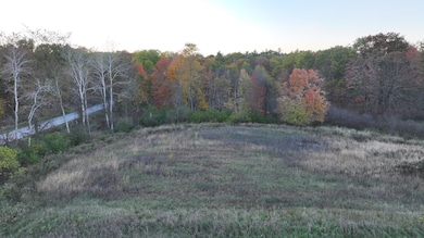 V/L 136th St, Sand Lake, MI 49343 - photo 5