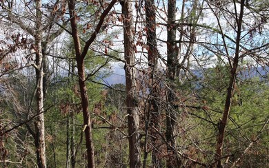 Additional View