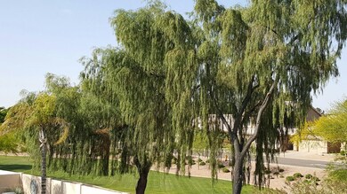 852 N Sicily Dr, Chandler, AZ 85226 - photo 5