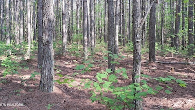 Lot 14 Airport Rd (Pca), Rockwood, TN 37854 - photo 6