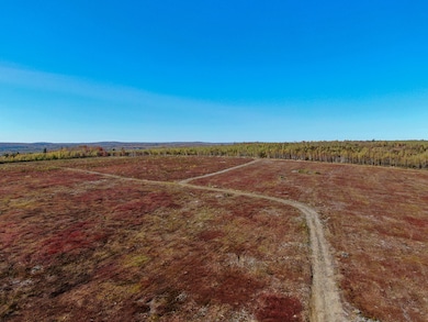 M4 L25-1 Smith Ridge Rd, Charlotte, ME 04666 - photo 3