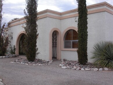 Orange Grove 2010 025