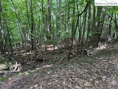 113 Arrowhead Rd, Beech Mountain, NC 28604 - photo 3