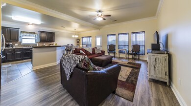 Living Room 2