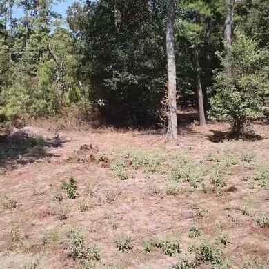 26425 Joseph Rd, Hockley, TX 77447 - photo 3