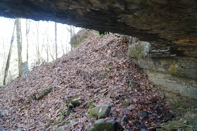 0, Hodges, AL 35571 - photo 5