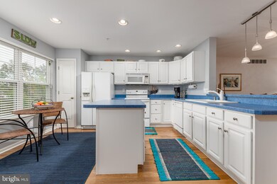 61 Canal Landing Ct, Rehoboth Beach, DE 19971 - photo 7