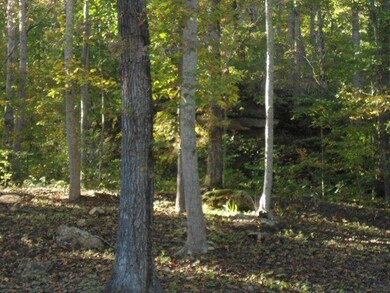 111 Wesley Chapel Rd, Somerset, KY 42501 - photo 7