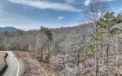 Additional View