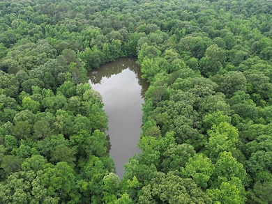 214 Gessler Rd, Benton, MS 39039 - photo 2