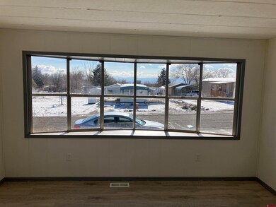 220 NW Elm Ave, Cedaredge, CO 81413 - photo 3