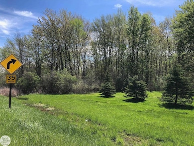 0 Meisner Rd unit 50142718, East China, MI 48054 - photo 5