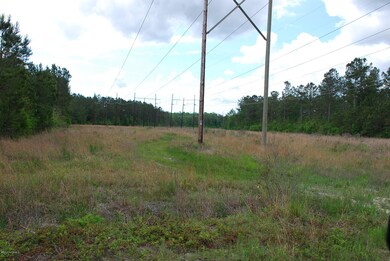 0000000000 Mill Creek SE, Bolivia, NC 28422 - photo 7