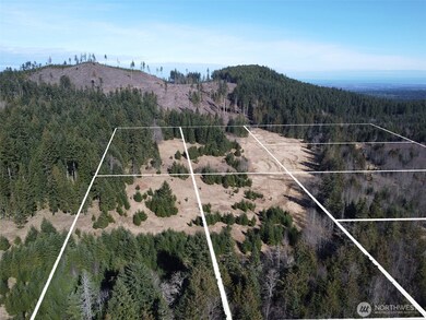 0 NKA Deer Park Rd, Port Angeles, WA 98362 - photo 7